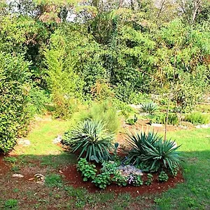 Apartament Jelena, Poreč